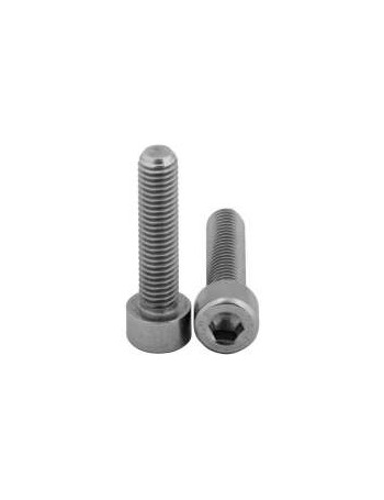 Stainless-steel screw M8 x 20 mm