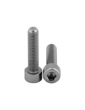 Stainless-steel screw M8 x 25 mm