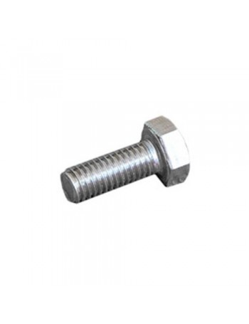 Stainless-steel screw M10 x 25 mm