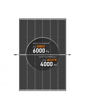 Modulo fotovoltaico 425 W Vertex S Black Frame Trina pallet da 36 pezzi  AP5-Pack 2766-defaultCombination